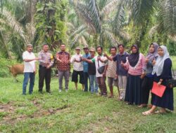 Polsek Bunut Hadiri Penyerahan Bantuan Sapi di Desa Sialang Bungkuk