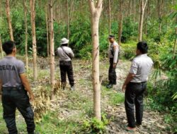 Polsek Bunut Pantau Lokasi Perkebunan Warga, Patroli Pencegahan Kebakaran