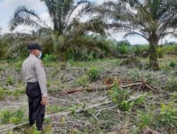 Cegah Karhutla, Polsek Bunut Patroli di Lokasi Ini