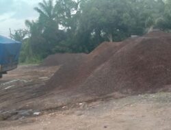 Wow ,,,”Setumpuk cangkang Sawit menggunung secara transparan Di Temukan di Jalan Lintas Timur