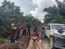 Polsek Teluk Meranti Lakukan Patroli Antisipasi Ilegal Logging