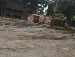 MAFIA CPO DIDUGA ILEGAL BEBAS BEROPERASI DI KECAMATAN KANDIS, APH KEMANA?