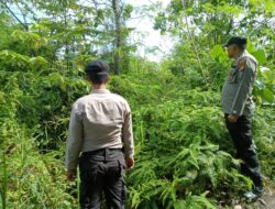 Upaya Pencegahan Karhutla Terus di Laksanakan Polsek Pangkalan Kerinci