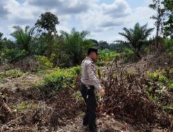 Personil Polsek Bunut Patroli Pencegahan Karhutla di Lahan Perkebunan Warga