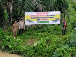 Informasi Dari Warga, Polsek Pangkalan Lesung Lakukan Pengecekan Keberadaan Buaya