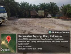 Usaha Cangkang Diduga Ilegal Bebas Beroperasi Di Kecamatan Tapung, APH Kemana?