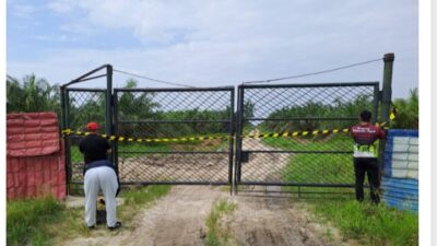 Sejumlah Perusahaan Sawit di Jalan Lintas Bono Disegel DLH Kabupaten Pelalawan, Ini Penyebab Nya