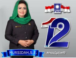 Siap Maju kembali Caleg DPRD Tuba Mursidah muzhawir.SE. Tancap Gas 2024-2029