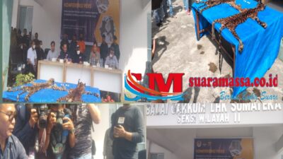 Gakkum KLHK Tangkap Tiga Pelaku Penjual Kulit Harimau di Pelalawan Riau, Ini Pelaku dan Kronologi Nya