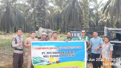 Rutinitas Setiap Tahun, PT.IIS Bagikan 2 Ekor Sapi Di Wilayah Operasional Nya