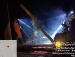 Hingga Larut malam anggota Polres Pelalawan masih memadamkan api di areal TNTN yang terbakar