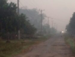 Puluhan Aktivitas Tobong Arang Dekat Pemukiman Resahkan Warga