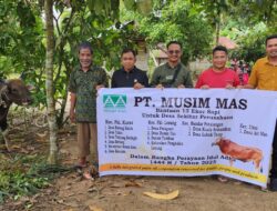 Rutinitas Setiap Tahunnya, PT.Musim Mas Salurkan Bantuan Qurban Diwilayah Operasional Nya
