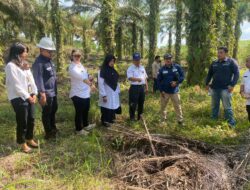Pemkab Pelalawan Sosialisasi Dan Survei Pengadaan Tanah Sumur Terusan-01 KKKS EMP Bentu