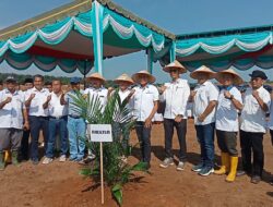 73 Hektar HGU Limau Mungkur Mulai Ditanam Ulang