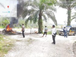Penertiban PETI di Desa Logas Kecamatan Singingi, Kapolsek Singingi Turun Langsung Musnahkan Satu Unit Rakit PETI Yang Tidak Beroperasi