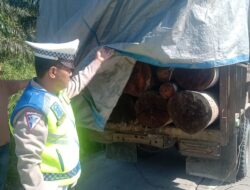 Bravo, Satlantas Polres Pelalawan Berhasil Amankan Dua Unit Mobil yang Diduga Bawa Kayu Hasil Hutan