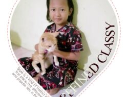 “Anak-Anak dan Kasih Sayang Mereka pada Kucing: Mengajarkan Empati, Tanggung Jawab, dan Kebersamaan”