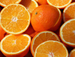 Manfaat Menakjubkan Buah Jeruk untuk Kesehatan Tubuh