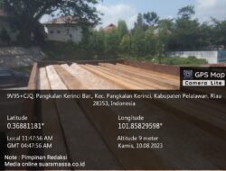 Polda Riau Berhasil Amankan Kayu Olahan yang Diduga Dari Hasil Hutan Marga Satwa Kerumutan