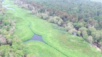 Bergantung Di Sungai Kerumutan, Masyarakat Nelayan Tempatan Kembali Tersenyum Ketika Jihad Menafkahi Keluarganya