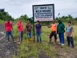 PTPN 2 Lanjutkan Okupasi HGU 94 Kebun Limau Mungkur, Penggarap Sudah 2 Kali Disomasi