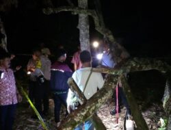 Seorang Wanita Ditemukan Tewas Gantung Diri di Pohon