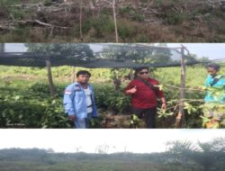Miris, Taman Nasional Teso Nilo Butuh Perhatian Yang Serius, LPLH : Pengawasan dan Penegakan Hukum Lemah