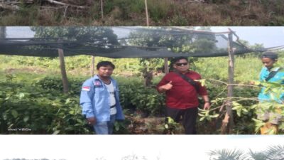 Miris, Taman Nasional Teso Nilo Butuh Perhatian Yang Serius, LPLH : Pengawasan dan Penegakan Hukum Lemah