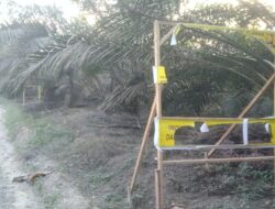 Papan Informasi Paket 6 Pangkalan Kuras Dirusak Orang Tidak Bertanggung Jawab, Ada Apa?