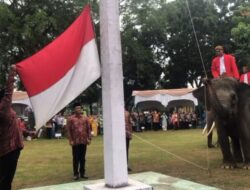 Momen Pengibaran Bendera Merah Putih di BKSDA Riau Libatkan Tiga Gajah