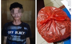 Curi Ikan Teri, Seorang Pria di Rohul Ditangkap Polsek Ujung Batu