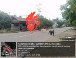 APK Bertebaran Di Madina, Bawaslu Ada Apa ?