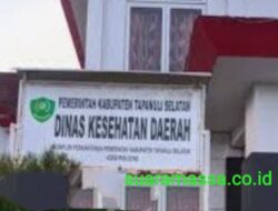 Dugaan Aroma KKN Proyek DINKES TAPSEL 2022, Diminta Pengak Hukum Bertindak Tegas