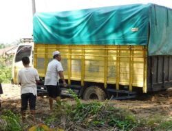 Jalan Simpang Palmaris-Bintuhan Bejangkar Seperti Kubangan Sapi