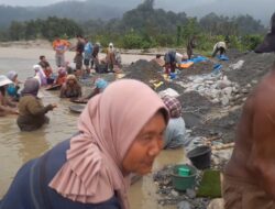 Harapan dan Kekhawatiran Warga Sumatera Utara: Kelangsungan Tambang Emas di Ujung Tanduk”