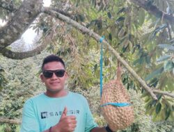 Cara Merawat Pohon Durian agar Berbuah Lebat dan Berkualitas