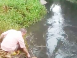 Perusahaan Kelapa Sawit PT.Surya Brantasena Diduga Buang Limbah, Warga Desak Tindakan Tegas