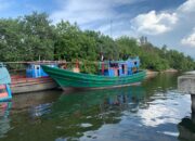 Ratusan Dus Rokok Ilegal Ditangkap di Aceh Utara, Bea Cukai Bungkam