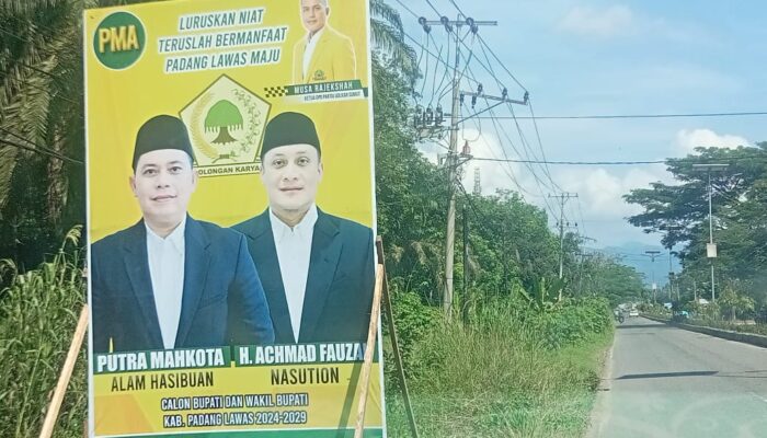 Baliho Seorang ASN Balon Wakil Bupati Berlogokan Partai Resahkan Warga Padang Lawas, Ini Kata Bawaslu