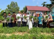 Pj Walikota Lhokseumawe  Resmikan Kebun Gizi Tanaman Kangkung di Gampong Meunasah Mesjid 