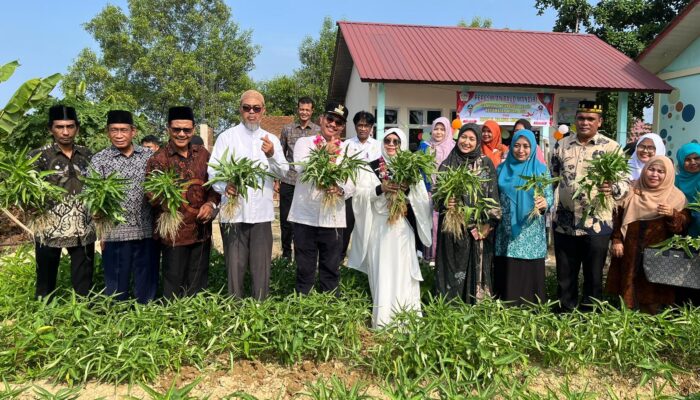 Pj Walikota Lhokseumawe  Resmikan Kebun Gizi Tanaman Kangkung di Gampong Meunasah Mesjid 