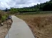 Pemdes Pengurung Bangun Rabat Beton Dan Talut Di Persawahan