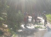 Pemerintahan Desa Bersama Koramil Dan Kapolsek Kaur Tengah Bersama Pembersihan Jalan Lintas