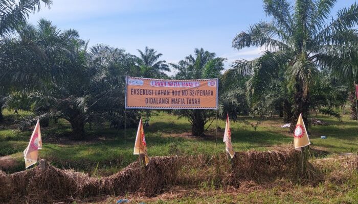 : Asset Negara Kebun Penara PTPN II Beralih Ke Mafia Tanah ???