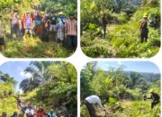 Pemerintah Desa Tri Tunggal Bakti Bersama Masyarakat Laksanakan Gotong Royong Bersihkan Jalan Lintas  Tri Tunggal Bakti