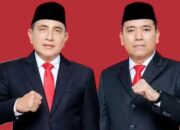 Keberlanjutan Pembangunan dan Representasi Masyarakat Tabagsel, Aktivis Pemuda Madina Dukung Edy-Hasan di Pilgubsu