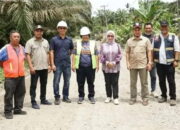 Plt Bupati Labuhanbatu Tinjau Proyek  Pembangunan Di Tebing Linggahara