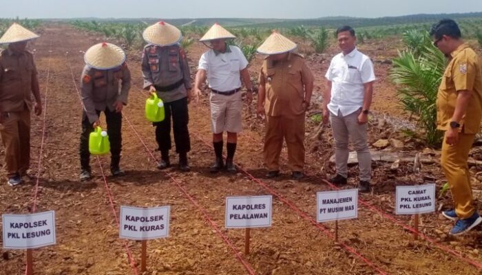 PT Musim Mas Bersama Polres dan Pemda Pelalawan Tanam Jagung Dukung Ketahanan Pangan