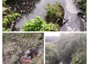 Pencemaran Lingkungan oleh Pabrik Kelapa Sawit PT Sumatra Karya Agro di Desa Sei Kuning Kembali Terjadi